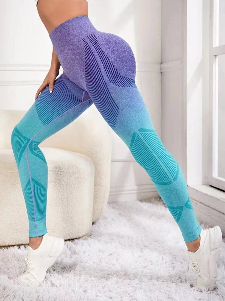 High Waist Fitness Legging Tights